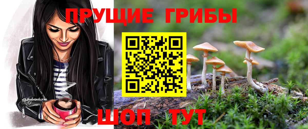 Псилоцибиновые грибы ЛСД  как найти наркотики  Минусинск  Вход с VPN 