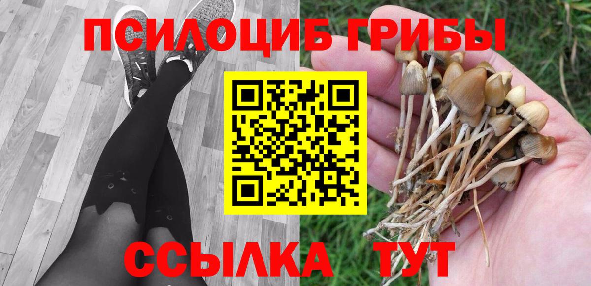 Галлюциногенные грибы Magic Shrooms Минусинск